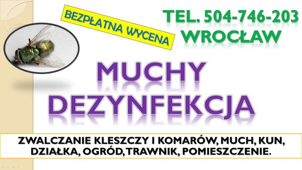 Dezynfekcja, muchy Wrocław, cennik.
